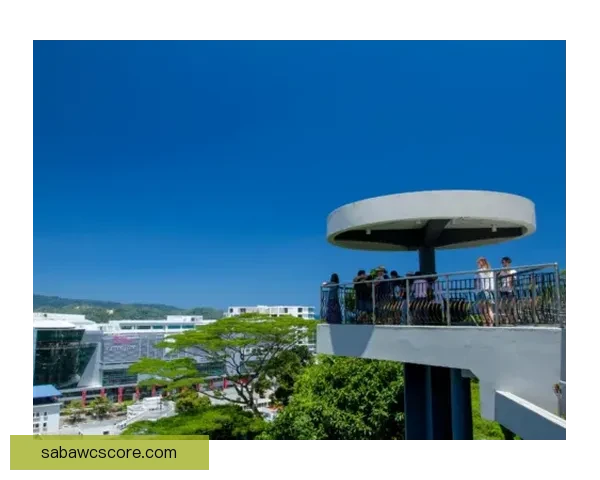 沙巴下载平台优势解析及使用技巧全面指南